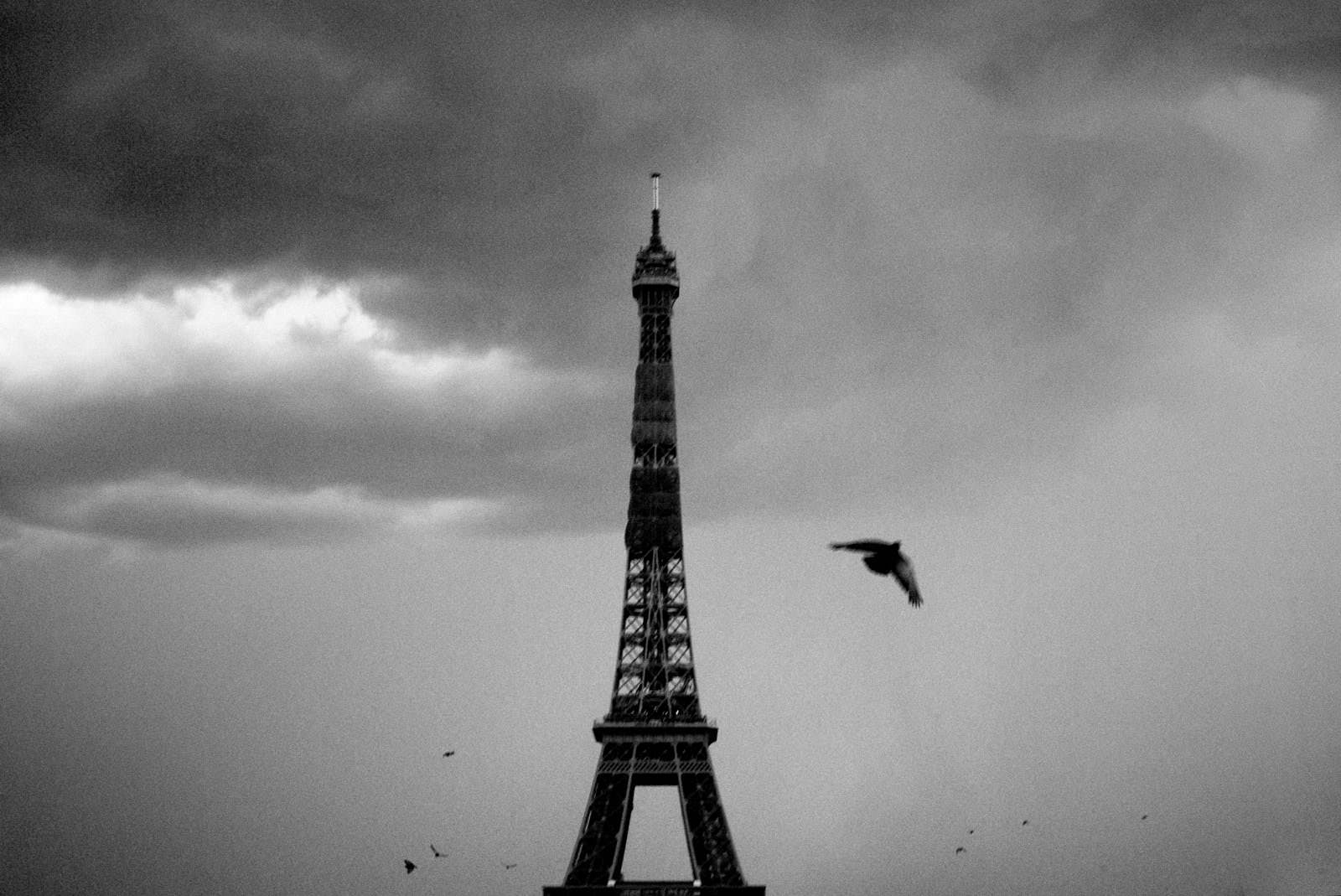 pigeons at the tour eiffel in paris with dramatic sky