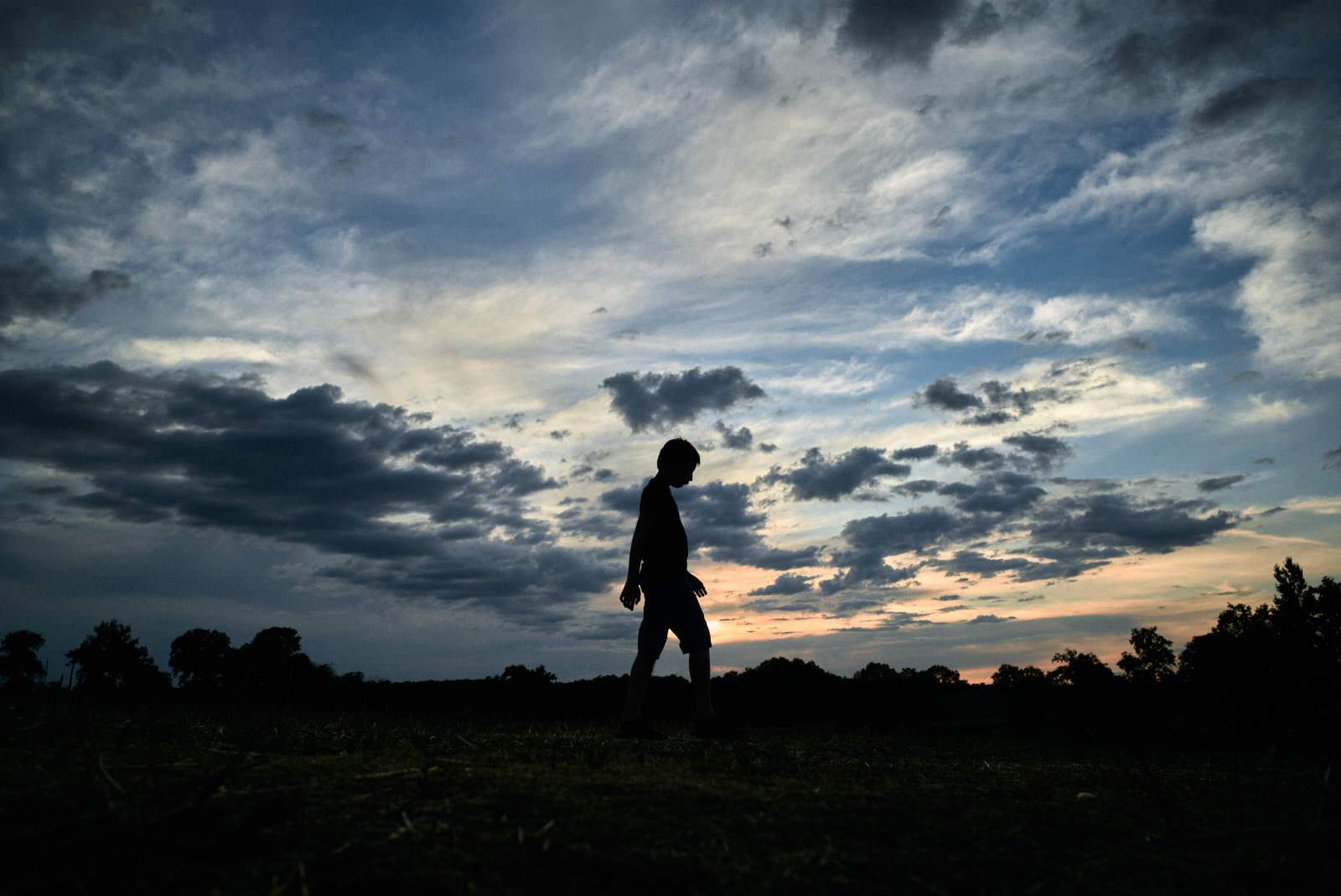 silhouette in a field in charente france